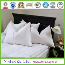 White Washed Cheap Wholesale 95% Duck Down Pillow Inserts